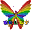 Butterfly rainbow
