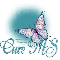 Teal Butterfly Bling  Cure MS