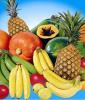 frutas fruits