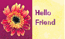 Flower-Hello Friend have a nice day