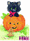 cat-pumpkin
