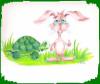 bunny and turtle