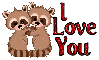 Raccoons- I love you