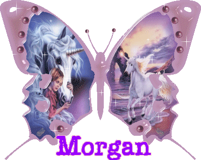 pink unicorn butterfly morgan