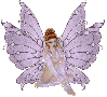 Pink Fairy Butterfly Sitting
