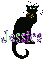 Black Cat Jessica