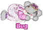 Baby bear- Bug