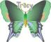tracy green butterfly