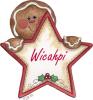Gingerbread Star Signature ~ Wicahpi