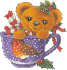 baby bear in a tea cup