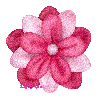 GG Pink Flower