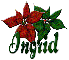 Ingrid Christmas flowers