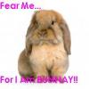 Fear for I am bunnay!!!