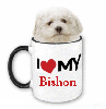 I love my bishon 