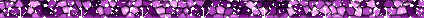 purple glitter bar divider