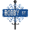 blue street sign bobby ST