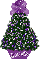 purple mismis tree, Michelle