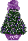 purple mismis tree, Priscilla