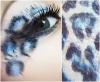 leopard eye