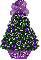 purple mismis tree, Erika