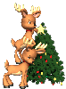 Reindeer Decorating 