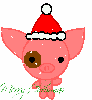 Chrismas Pig