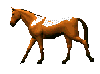 brown_horse