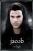 Jacob-Twilight