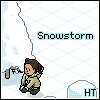Snowstorm ;]