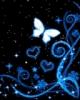 Butterfly blue swirls