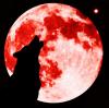 Wolf Howling On A Red Moon