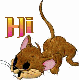 Hi mouse