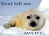 save seals 