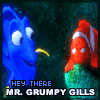 Mr.Grumpy gills