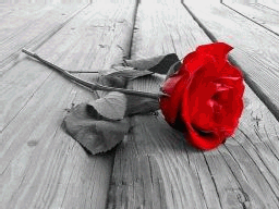 i love u