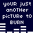picture to burn