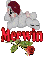 Bear & Rose: Merwin