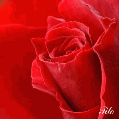with love
