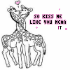 giraffe kisses
