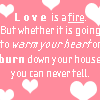 Funny Love Quote