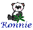 Panda- Ronnie