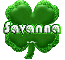clover savanna