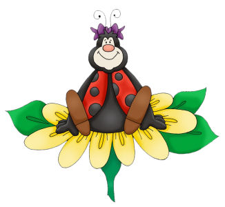 LADY BUG