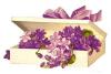 box of violets