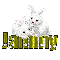 White Bunnies: Jammy