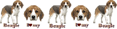 Beagle Divider