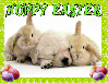 Hoppy Easter bunnies& pup
