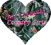 Backwoods Country Girl