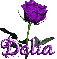 purple rose delia