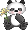cute panda with flower